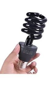 Currency Check Bulb 40W
