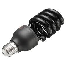 Currency Check Bulb 40W
