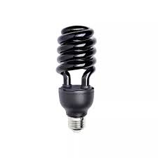 Currency Check Bulb 40W